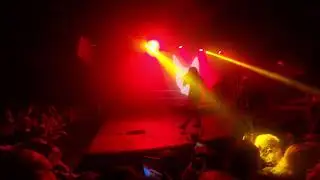 Кис-кис - Харакири (Cover) / 23.11.2019