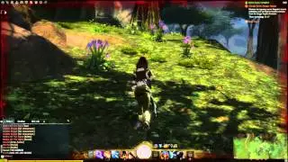 Guild Wars 2 BWE3   Final Event The Hunger Royale