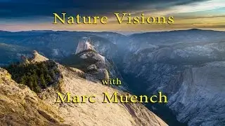 Nature Visions