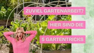 👉 Der perfekte Garten mit 1 Stunde pro Woche – so geht’s!