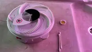 Electric Fly Trap