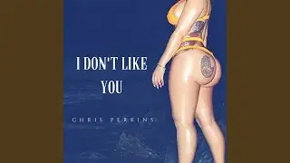 I Don't Like You