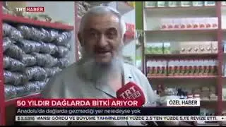 Ahmet YILMAZ - 50 Yıldır Dağlarda Bitki Arıyor