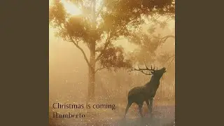 Christmas is coming