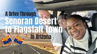 A drive through Sonoran Desert in Arizona