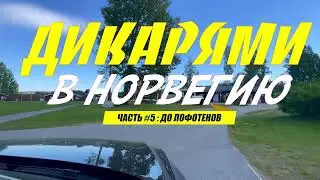 Дикарями в НОРВЕГИЮ #5 Швеция - паром - Лофотены