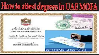How to Attest Educational and Offical Documents & Degree with in UAE from MOFA