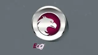 Logo Animation (eagle)