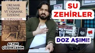 Okumak Yazmak ve Yaşamak Üzerine, Altını Çizdiklerim-4 Arthur Schopenhauer, Kitap İncelemesi