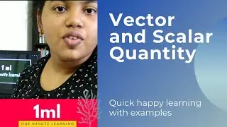 Vector and Scalar Quantity with examples #shorts | 1ml - one minute learning Ep#1 | big hero aditi