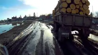 Покатушки на мопеде Альфа