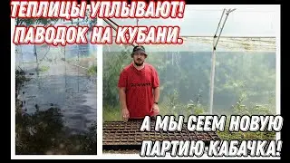 Теплицы уплывают, а мы сеем кабачок