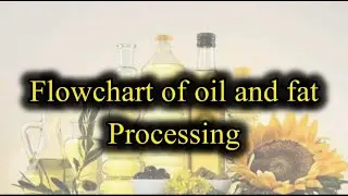 Fat and Oil Processing | Function and Flowchart of Fat and Oil Processing