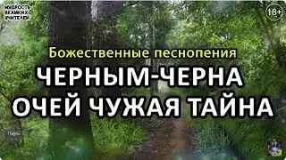 Черным черна очей чужая тайна | Божественные песнопения