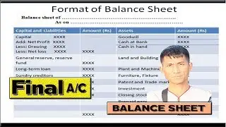 Balance Sheet in Nepali
