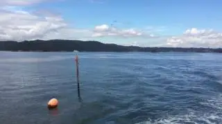 Matsushima Boat Cruise. 松島舟クルイズ