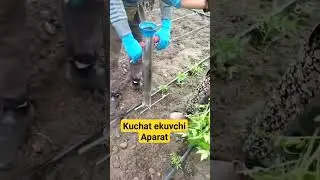 1 апреля 2024 г.