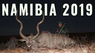 Hunting Namibia For Wild Kudu