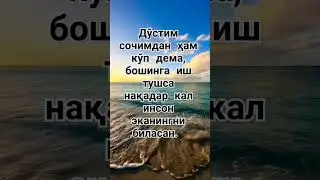 #rek #uzb #jannatga #oshiqlar #obuna #bolin хулоса узиздан достларим сог болилар