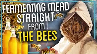 Fermenting Mead from ANCIENT Honey