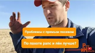 Проблемы в технологии NO-TILL, нервы на пределе, рапс и лён по классике выглядят лучше.