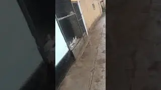 Белые воды 5.04.2019ж