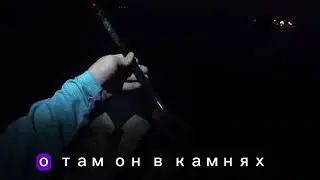 Сазан🎣на кукурузу 🌽давит фрикцион🍂