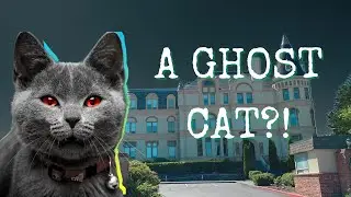 Manresa Castle Ghost Hunt | A Paranormal Investigation Filmed In Port Townsend, Washington