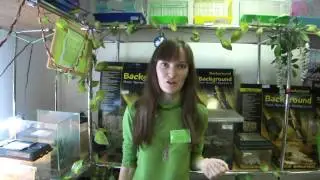 Экзотические животные в зоомагазине Мадагаскар
