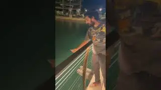 I’ve finally caught my first fish and it wasn’t just one I’ve caught 3 one them was a bass