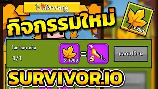 กิจกรรมใหม่ สายฟรีต้องไม่พลาด ใบไม้สารทฤดู |  Survivor.io