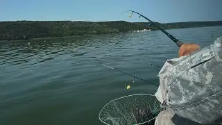 Лещ клюёт на одной и той же точке. Красный Оскол.