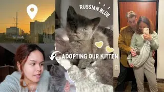 WE DROVE 350 MILES TO ADOPT A KITTEN!!!😽