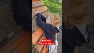 #cute #funny #топ #best #love вчимося злазити по канаті
