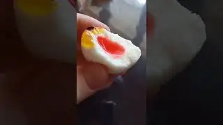 моя логика