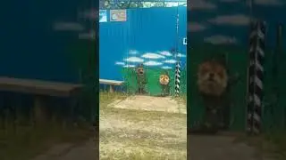 ОСТОРОЖНО ЗЛЫЕ СОБАКИ 🐕🐕