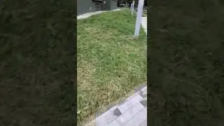 Втренно🫠