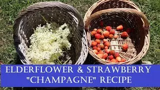 Elderflower & Strawberry Champagne Style Sparkling Wine: Easy Homebrew