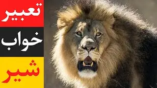 تعبیر خواب  شیر - Dream Interpretation of Lion @dream.interpretation
