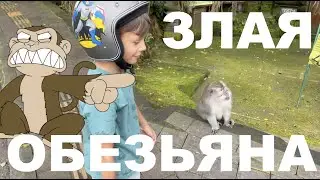 ОБЕЗЬЯНА УПАЛА В МУСОРКУ И НАПАЛА НА СУПЕР МАКСА!
