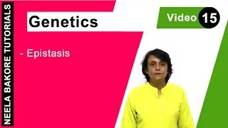 Genetics - Principles of Inheritance & Variations | NEET | Epistasis | Neela Bakore Tutorials