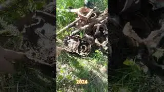 Запчасти от мотоцикла в болоте.