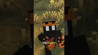 Mojang, PLEASE fix this... 