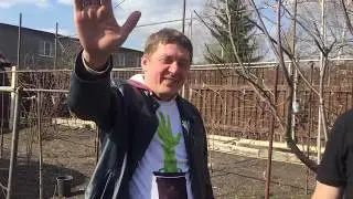 Чёрная шелковица и персик, съемка на улице 02.04.2020. Часть 3.