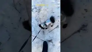 Кулёма и подштанники!
