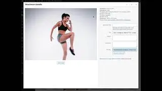 Custom Home Screen - Making a Video Membership App with AppPresser