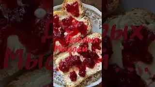 11 августа 2024 г.
