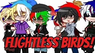 Flightless birds!! •Countryhumans•