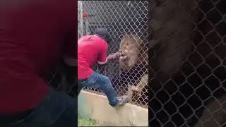Instant regret compilation #2