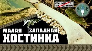 Сочи. Спуск по верёвке с само-сбросом. р. Малая (западная) Хоста.